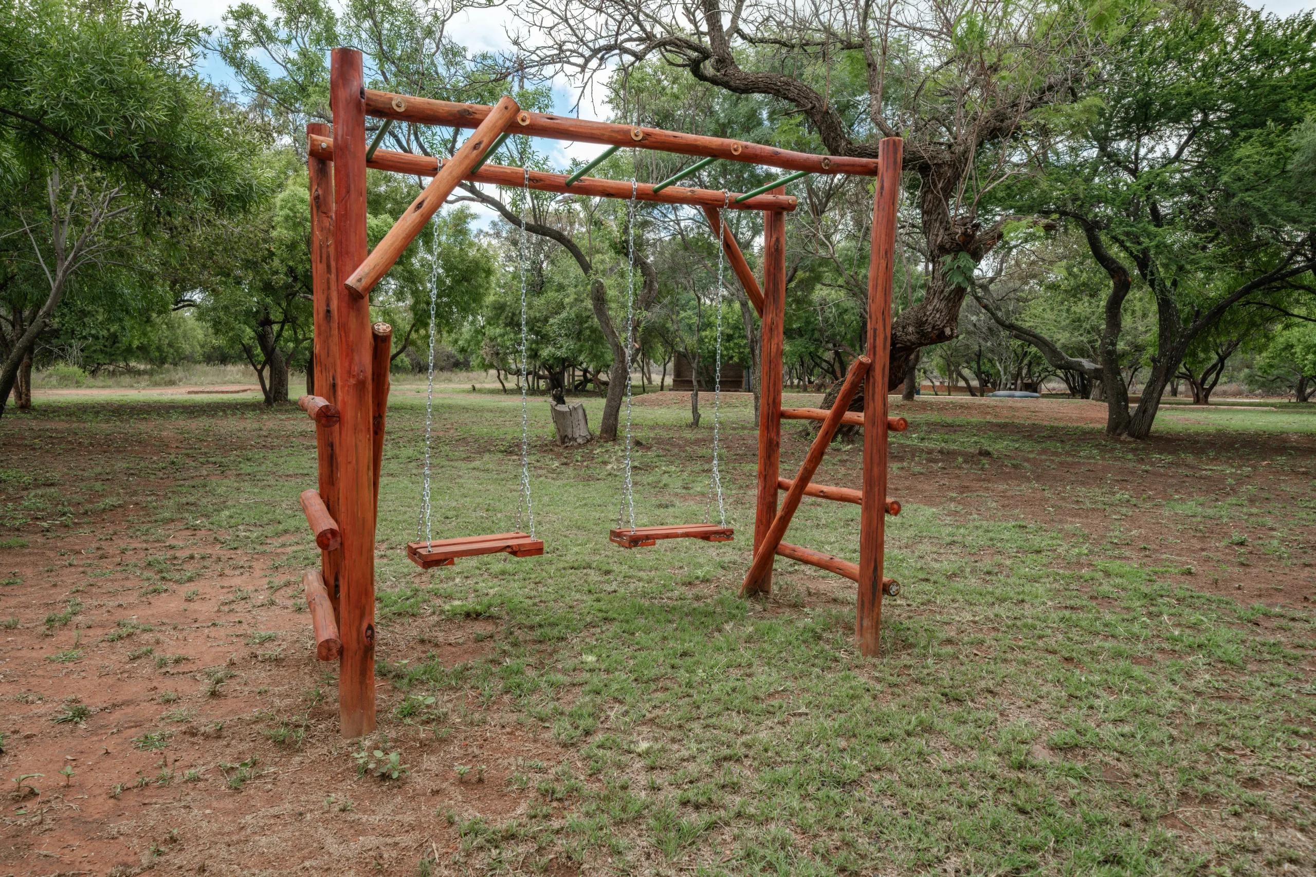 Swing and garden